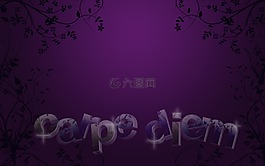 carpe,日津貼,壁紙