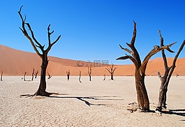 deadvlei,纳米比亚,非洲