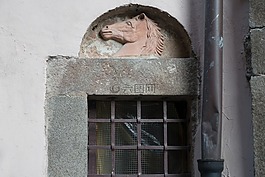 馬,頭,聲音