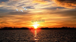 日落,湖,天鵝