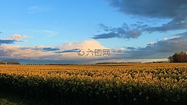 景觀,性質(zhì),字段