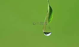 滴,關閉,一滴水