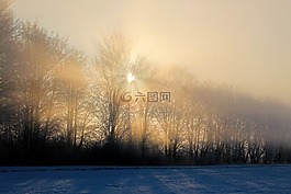 日出,景觀,冬天