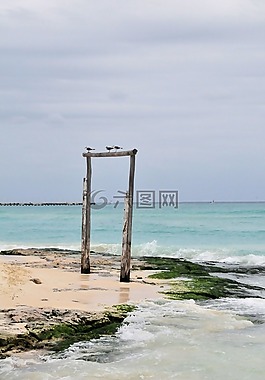 海洋,岸,海灘