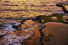 海岸,水,波