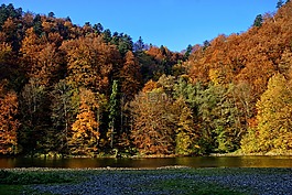 pieniny,杜納耶茨,秋葉