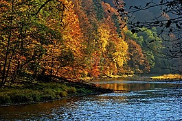 pieniny,杜納耶茨,秋葉