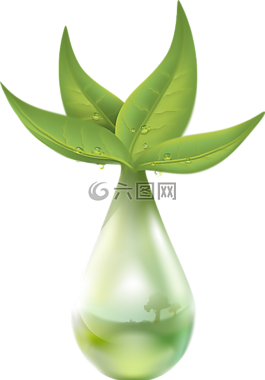 萃取,植物,液體