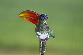 玻璃鳥,鳥,玻璃