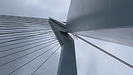 橋,鹿特丹,橋梁