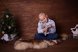 樹苗,圣誕,燈火