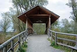 橋,木,木橋