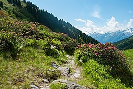 山,徒步旅行,性質(zhì)