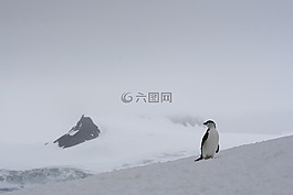 一半,月亮,島