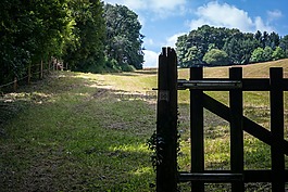 籬笆,門,牧場