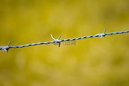 鐵絲網(wǎng),籬笆,線