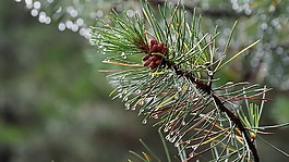 雨,一滴水,關(guān)閉