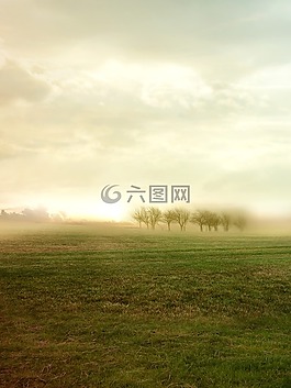 陽光燦爛,天空,景觀