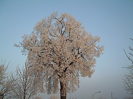 冬天,冰,水