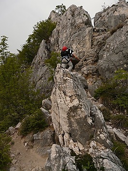 登山,流浪者,男子