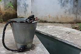 扶植,斗,自然