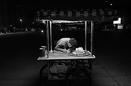 勞動(dòng),板栗,移動(dòng)
