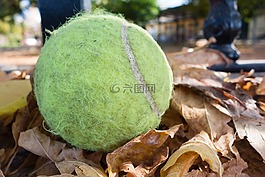 網(wǎng)球,球,秋