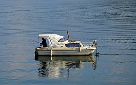 引導(dǎo),湖,魚
