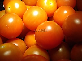 番茄,水果,廚師