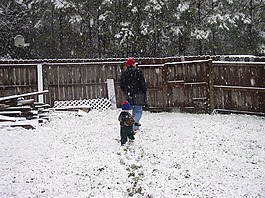 雪,降雪,父親