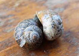 一起,愛,兩