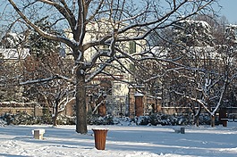 雪,公園,冬季景觀