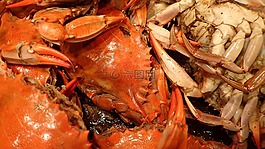 海鮮,螃蟹,烹飪