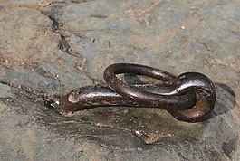 锚点,金属,石