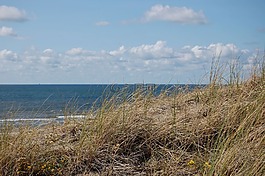 沙丘,海灘,海