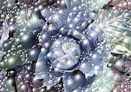 氣泡,卷心菜,健康