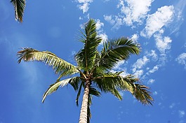 藍(lán)色,天空,云