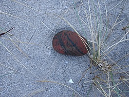 石,海灘,海岸