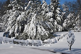 雪,封面,漂移
