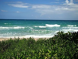 海灘,海洋,天空