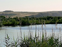 水,仍,平靜