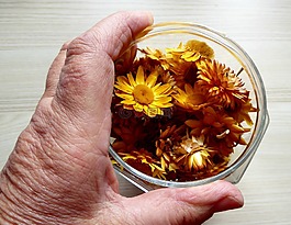 干花,豐富多彩,手