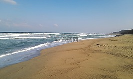 海灘,波,海