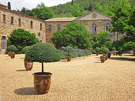 丰弗鲁瓦德,cistercian,寺