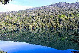 公園,國(guó)家,huerquehue