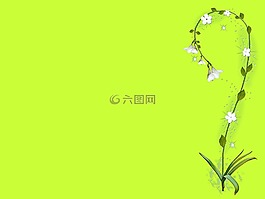 植物,花的,模式