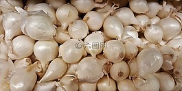 蔥,珍珠洋蔥,蔬菜