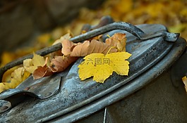 秋季,葉子,垃圾桶