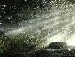 雨,噴霧,水