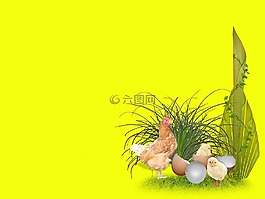 復活節(jié),雞蛋,雞